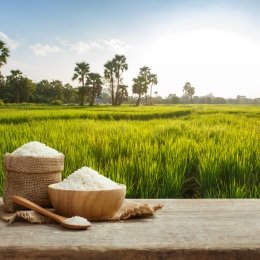 Rice in front of a field