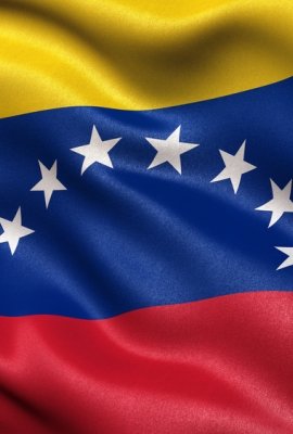  Image - Cover 2 - Venezuela’s Authoritarian Allies The Ties That Bind