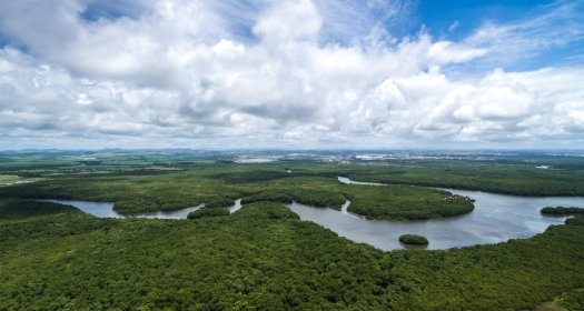 Aerial Photo of the Brazilian Amazon