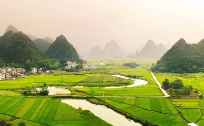 china green agriculture 