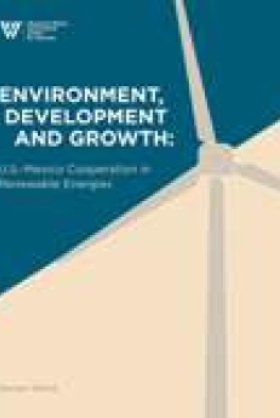 Environment, Development and Growth: