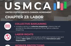 Infographic | USMCA Chapter 23: Labor