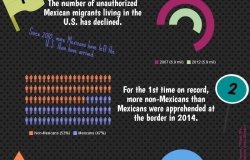 Did You Know: Mexican Migration