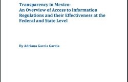 Transparency in Mexico: An Overview of Access to Information Regulations and their Effectiveness at the Federal and State Level