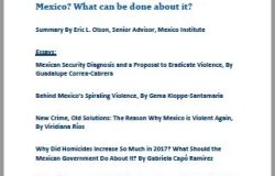 Why are Homicides on the Rise Again in Mexico? What Can Be Done About It?