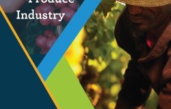 Farm Labor and Mexico's Export Produce Industry