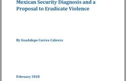 Mexican Security Diagnosis and a Proposal to Eradicate Violence