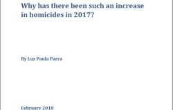 Why Has There Been Such an Increase in Homicides in 2017?
