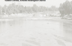 Reflections on Mexico's Southern Border