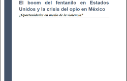 El boom del fentanilo en Estados Unidos y la crisis del opio en México: ¿Oportunidades en medio de la violencia?