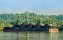 Conveyor loading coal barge in the Upper Mahakam Delta, Indonesia.