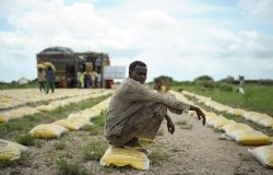 Thousands Displaced by Floods and Conflict near Jowhar, Somalia