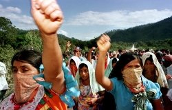 image - environmental activism in mexico
