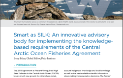 Polar Perspectives No. 4 