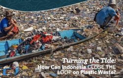 InsightOut Issue 7 -- Cover