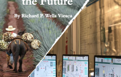 Mexico Facing the Future Cover