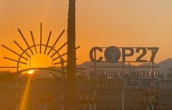 Photos taken at the 2022 United Nations Climate Change Conference (COP27)