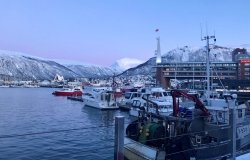 Tromsø Havn/Harbour