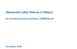 image - cover bensusan & middlebrook labor reform publication