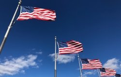 U.S. flags