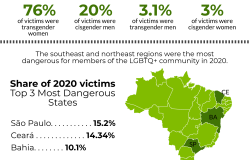 Image - BI Infographic - LBGTQ+ Community 2021