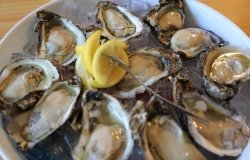 Plate of cooked oysters