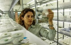 Image - Brazilian women working in a lab