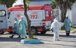  Photocarioca/shutterstock