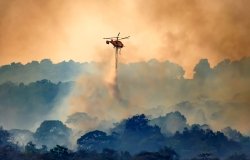 Weekly Asado image 2_12_21